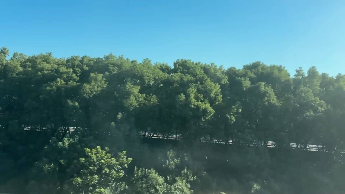 Trees blurred green at high speed