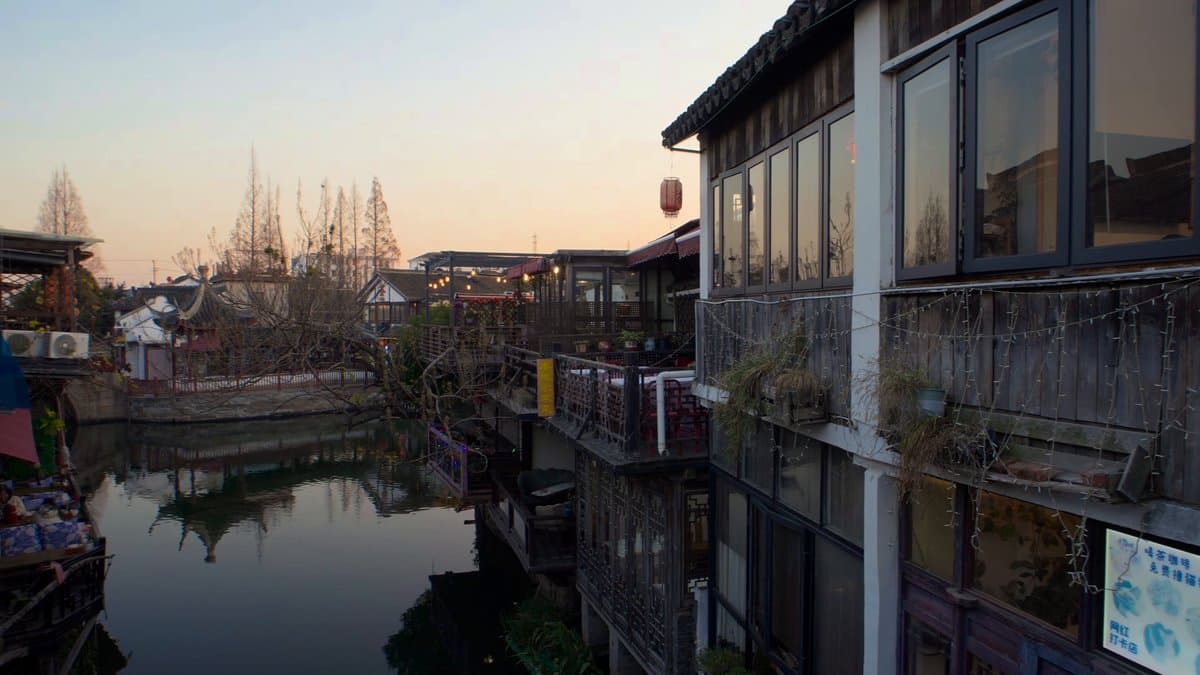 Waterside trees silhouetted at dusk