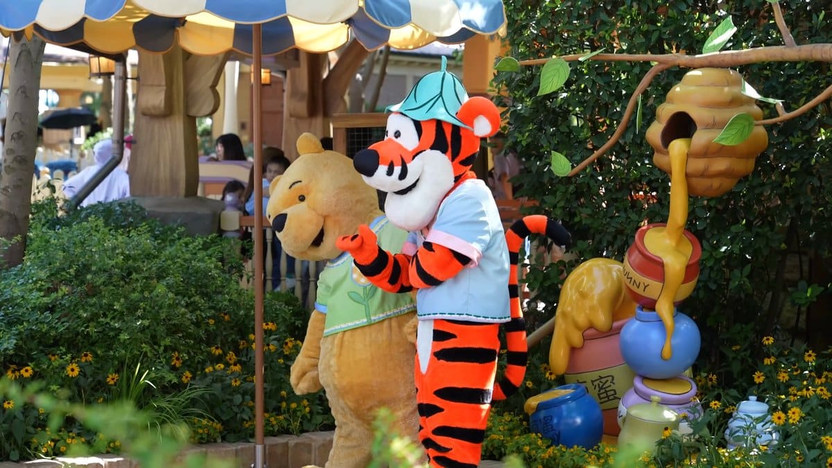 Winnie the Pooh and Tigger